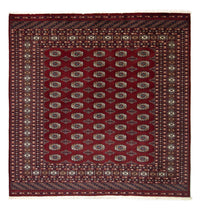 Afghan Teppich - Buchara 203 x 199 cm