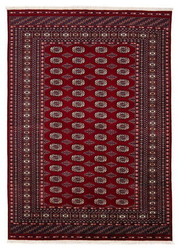 Afghan Teppich - Buchara 240 x 170 cm