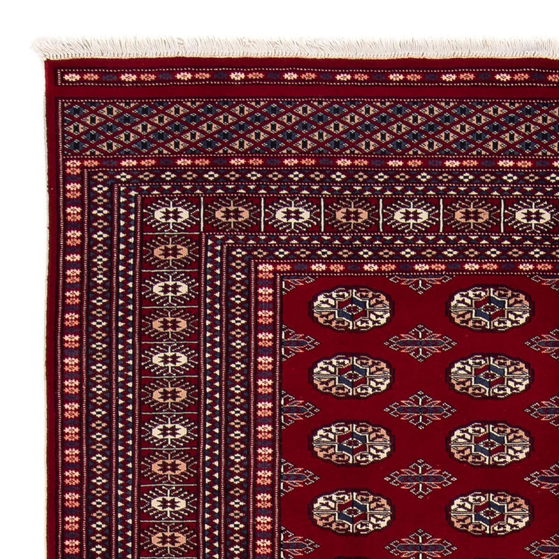 Afghan Teppich - Buchara 240 x 170 cm