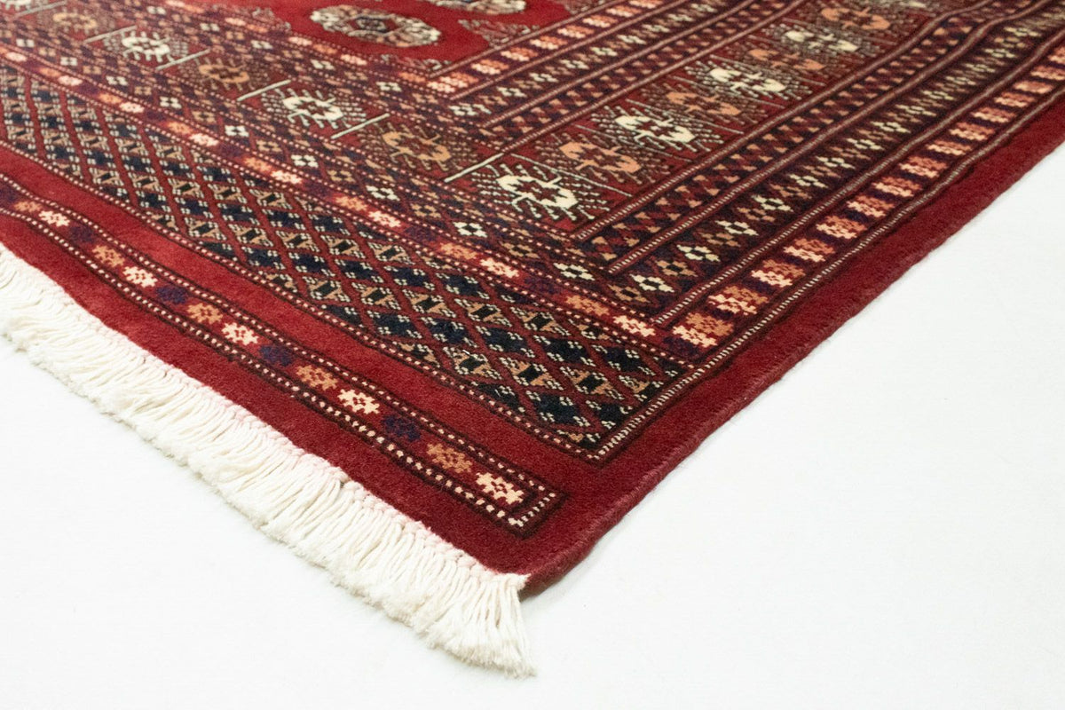 Afghan Teppich - Buchara 244 x 198 cm