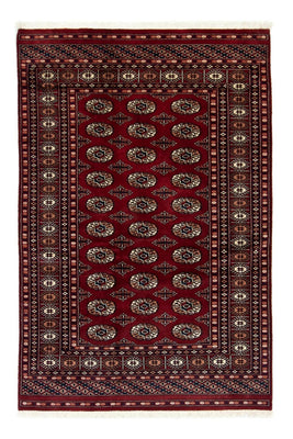 Afghan Teppich - Buchara 186 x 121 cm