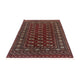 Afghan Teppich - Buchara 186 x 121 cm