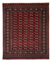 Afghan Teppich - Buchara 241 x 197 cm