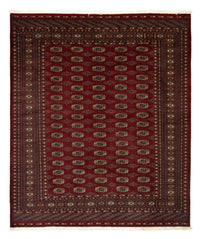 Afghan Teppich - Buchara 240 x 203 cm