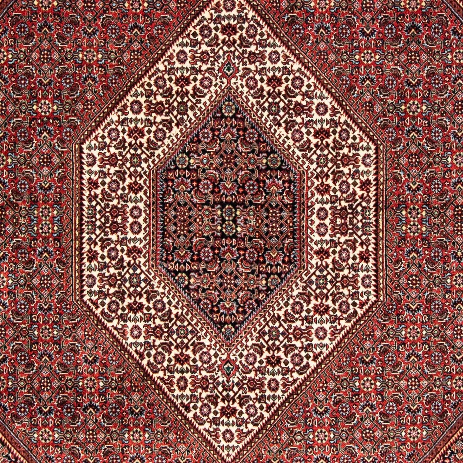 Perserteppich - Bidjar 239 x 166 cm