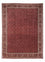 Perserteppich - Bidjar - Royal 350 x 252 cm - rot