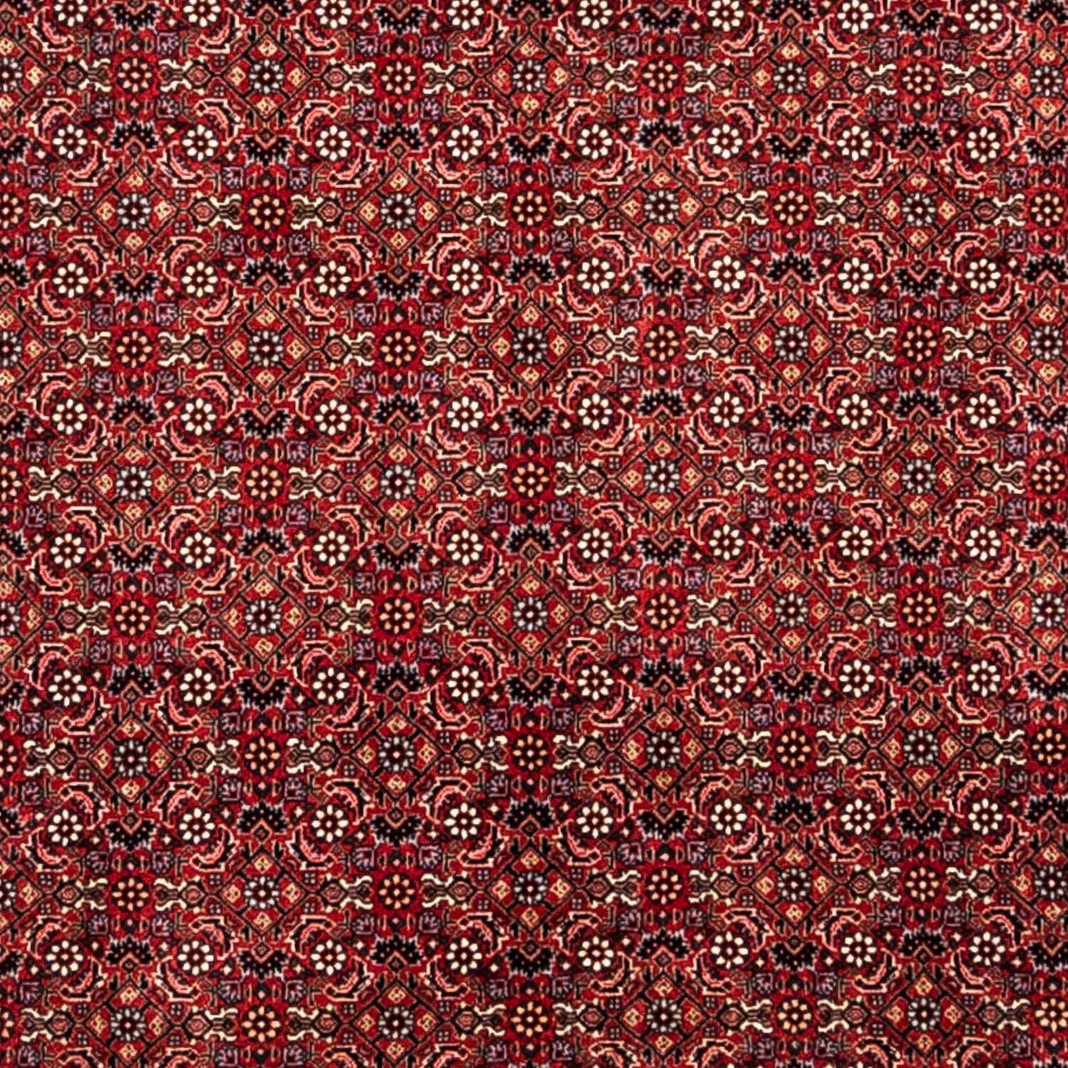 Perserteppich - Bidjar - Royal 350 x 252 cm - rot
