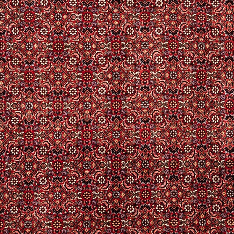 Perserteppich - Bidjar - Royal 350 x 252 cm - rot