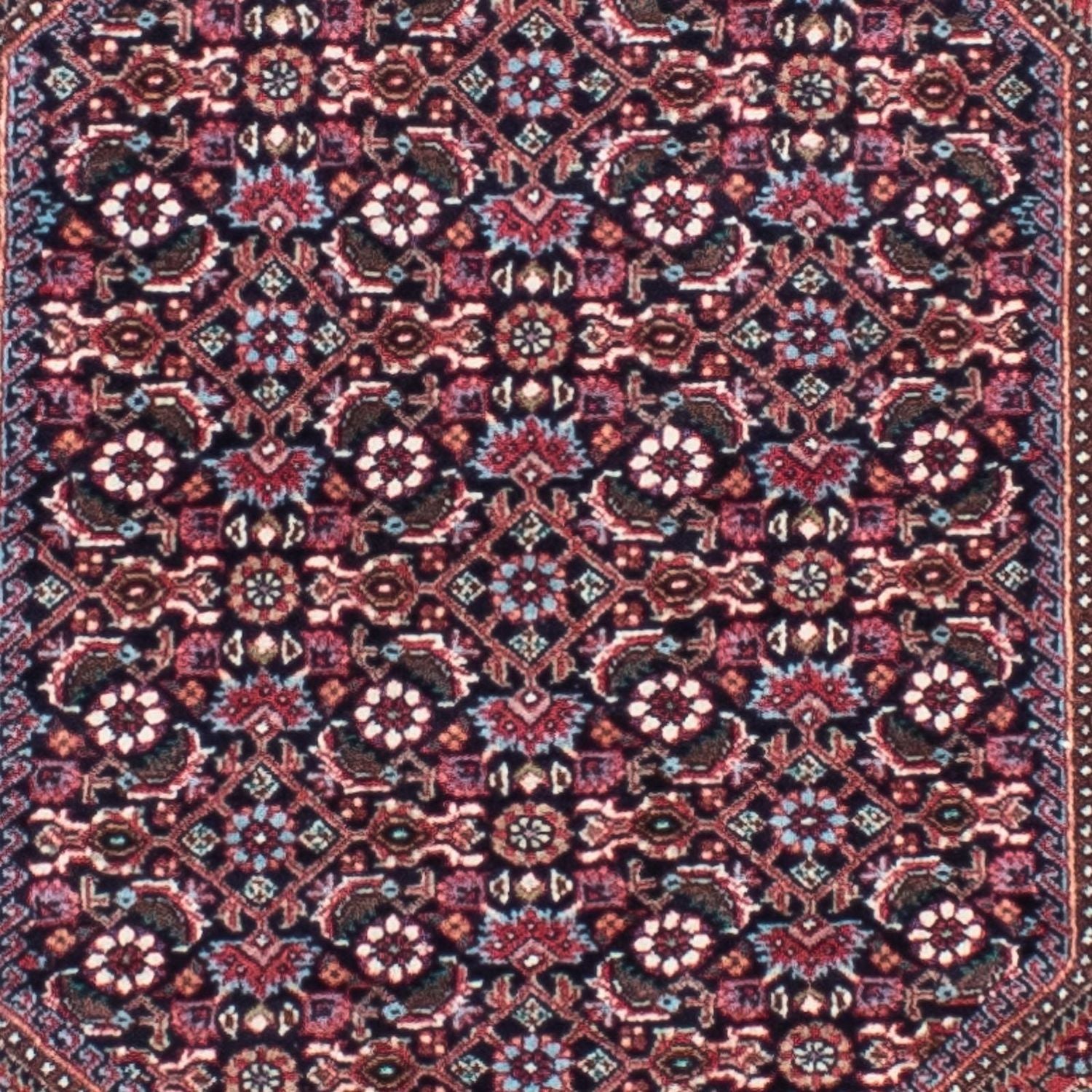 Perserteppich - Bidjar 279 x 73 cm