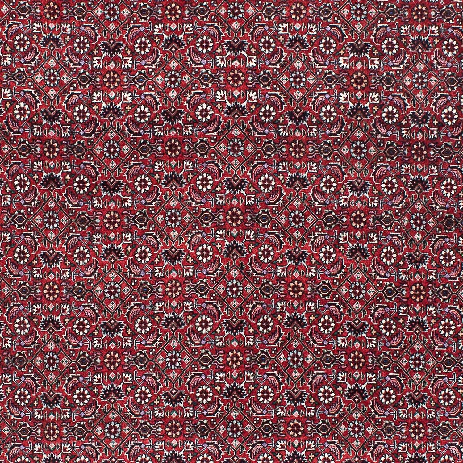 Perserteppich - Bidjar - Royal 209 x 134 cm