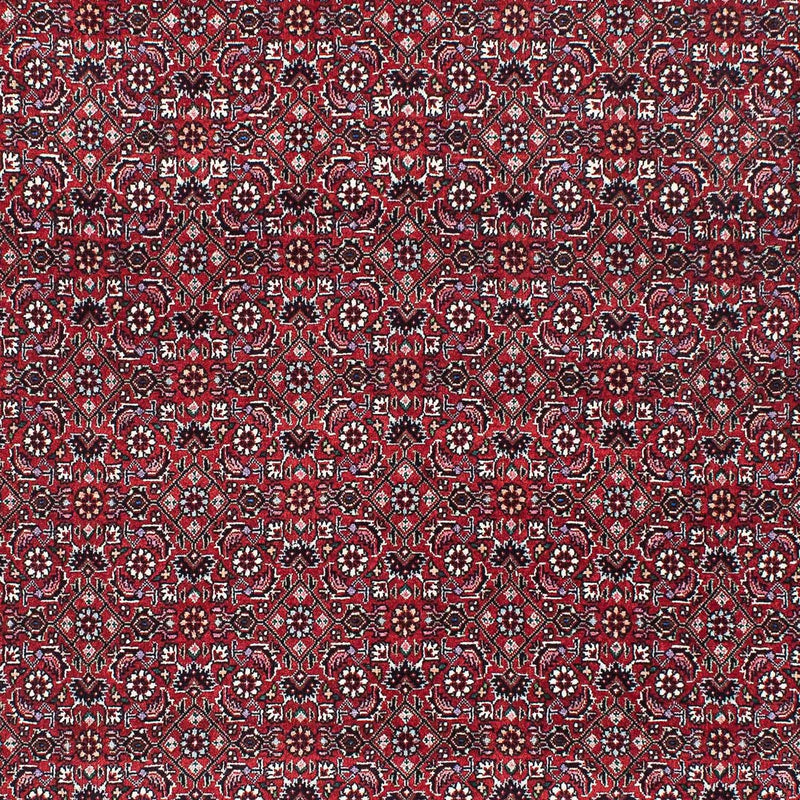 Perserteppich - Bidjar - Royal 209 x 134 cm
