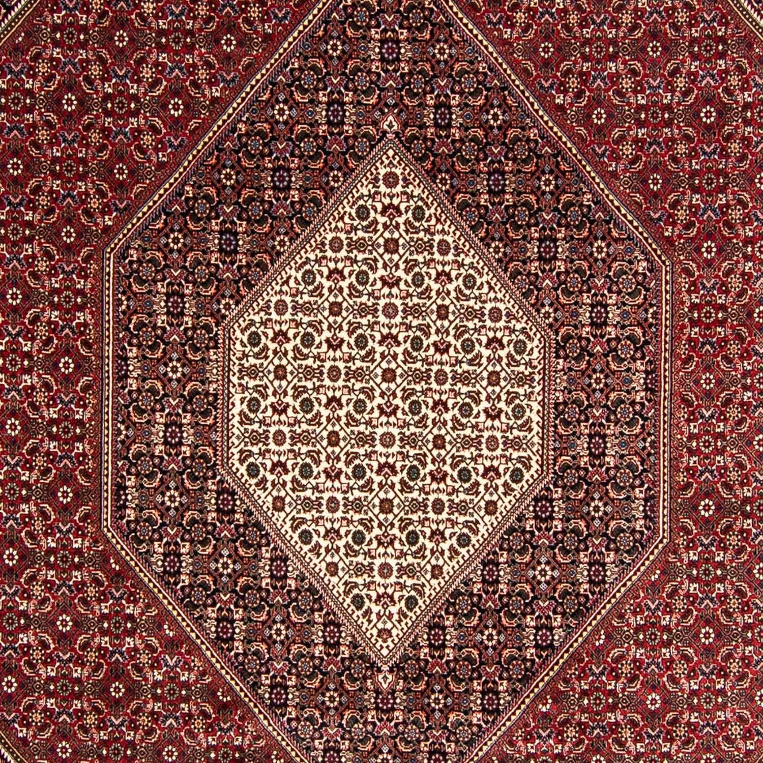 Perserteppich - Bidjar 349 x 245 cm