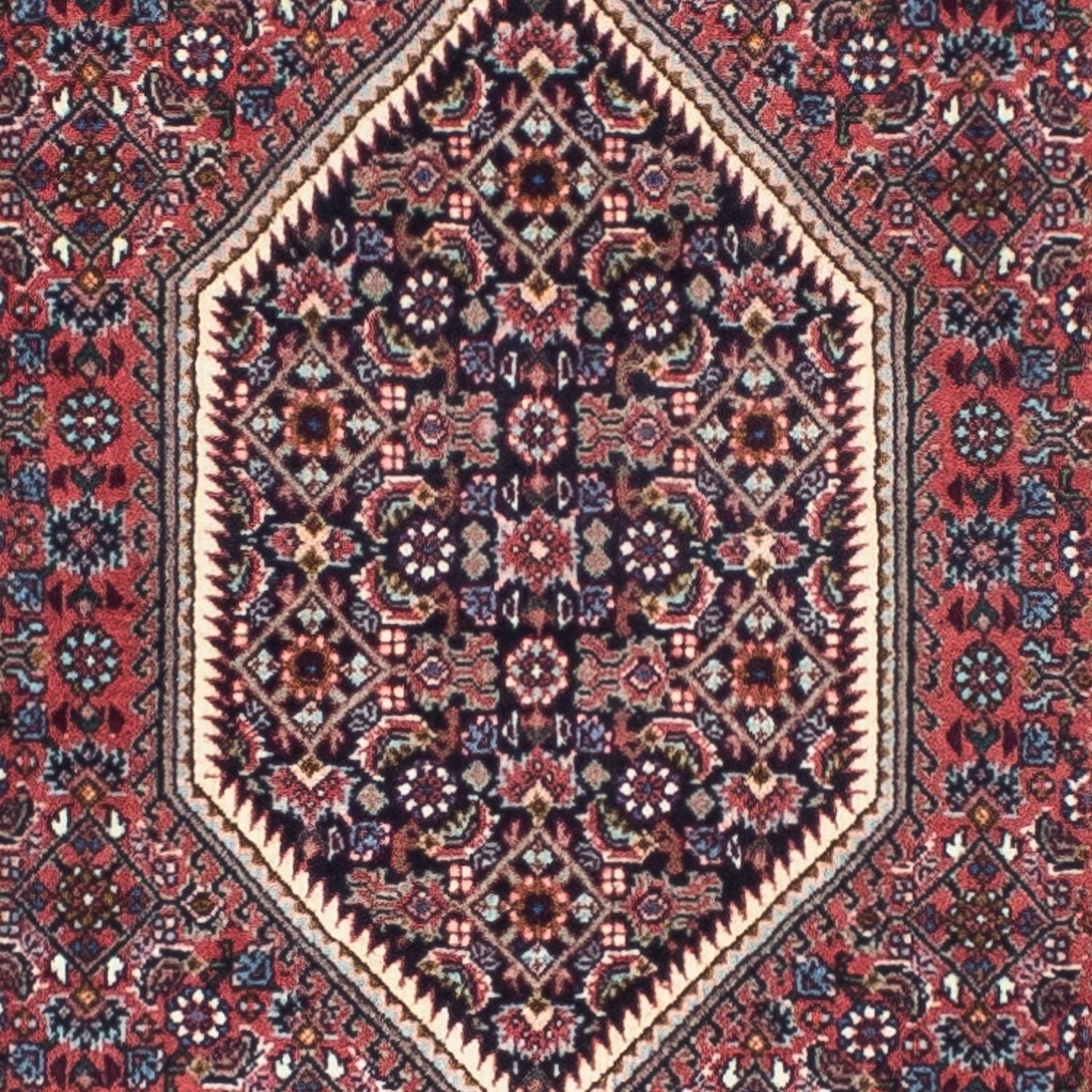 Perserteppich - Bidjar - Royal 245 x 74 cm