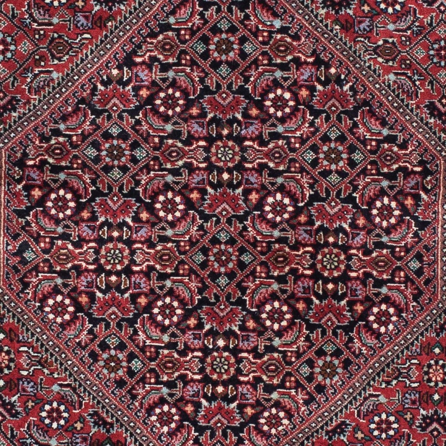 Perserteppich - Bidjar - Royal 212 x 74 cm