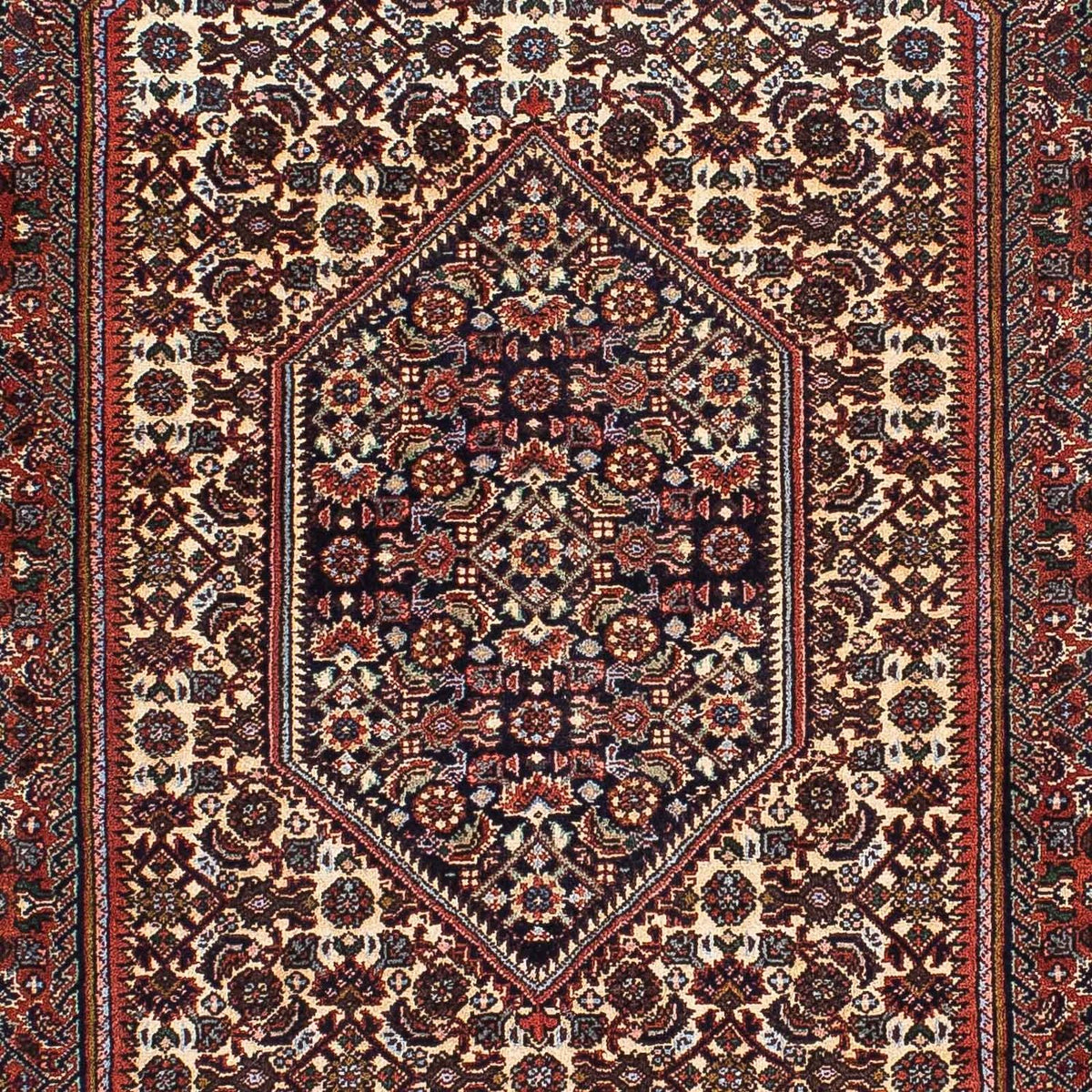 Perserteppich - Bidjar - Royal 213 x 134 cm - mehrfarbig