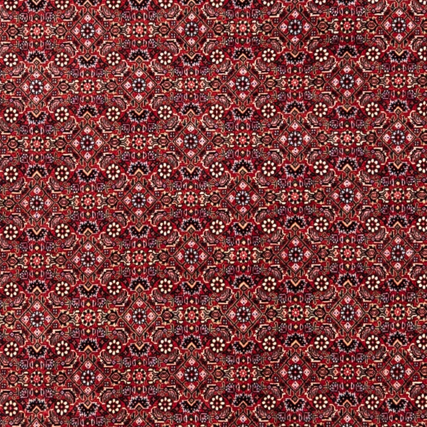 Perserteppich - Bidjar - Royal 338 x 252 cm