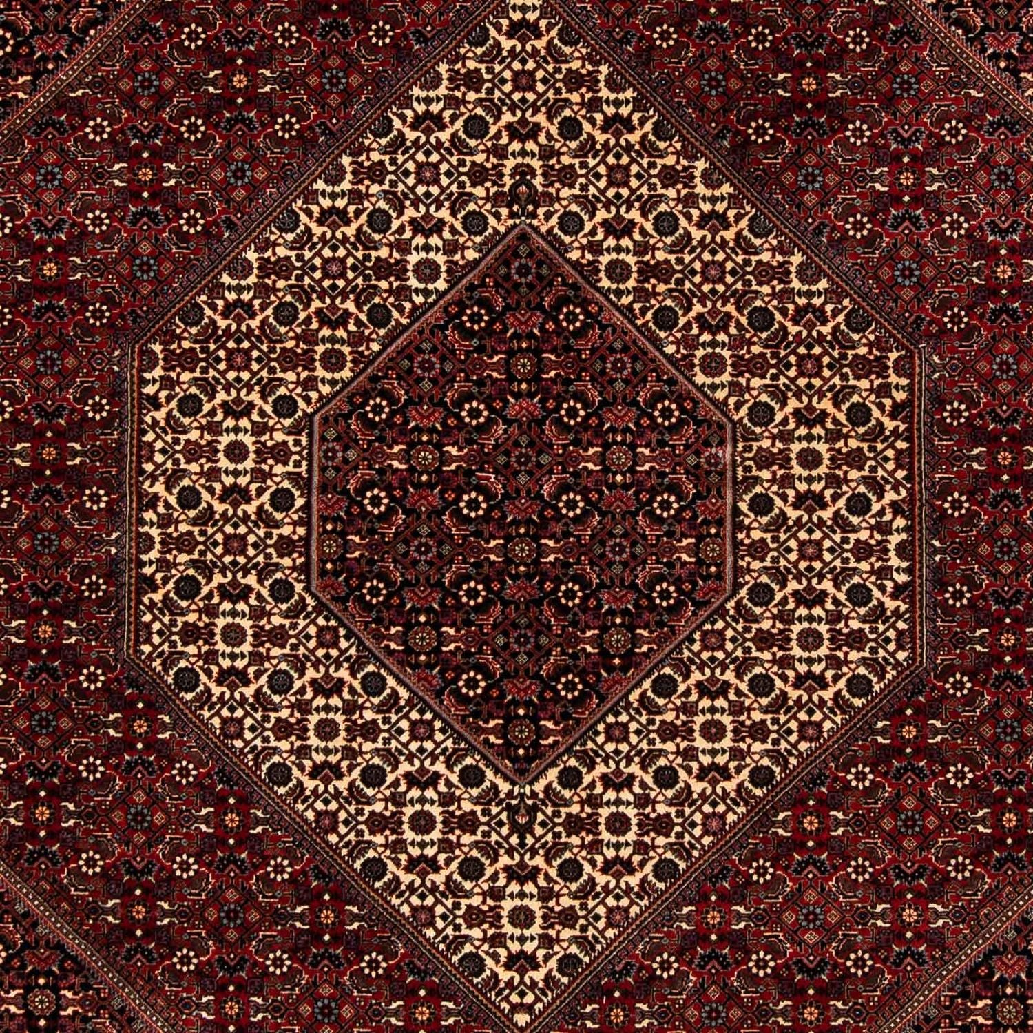 Perserteppich - Bidjar 242 x 203 cm