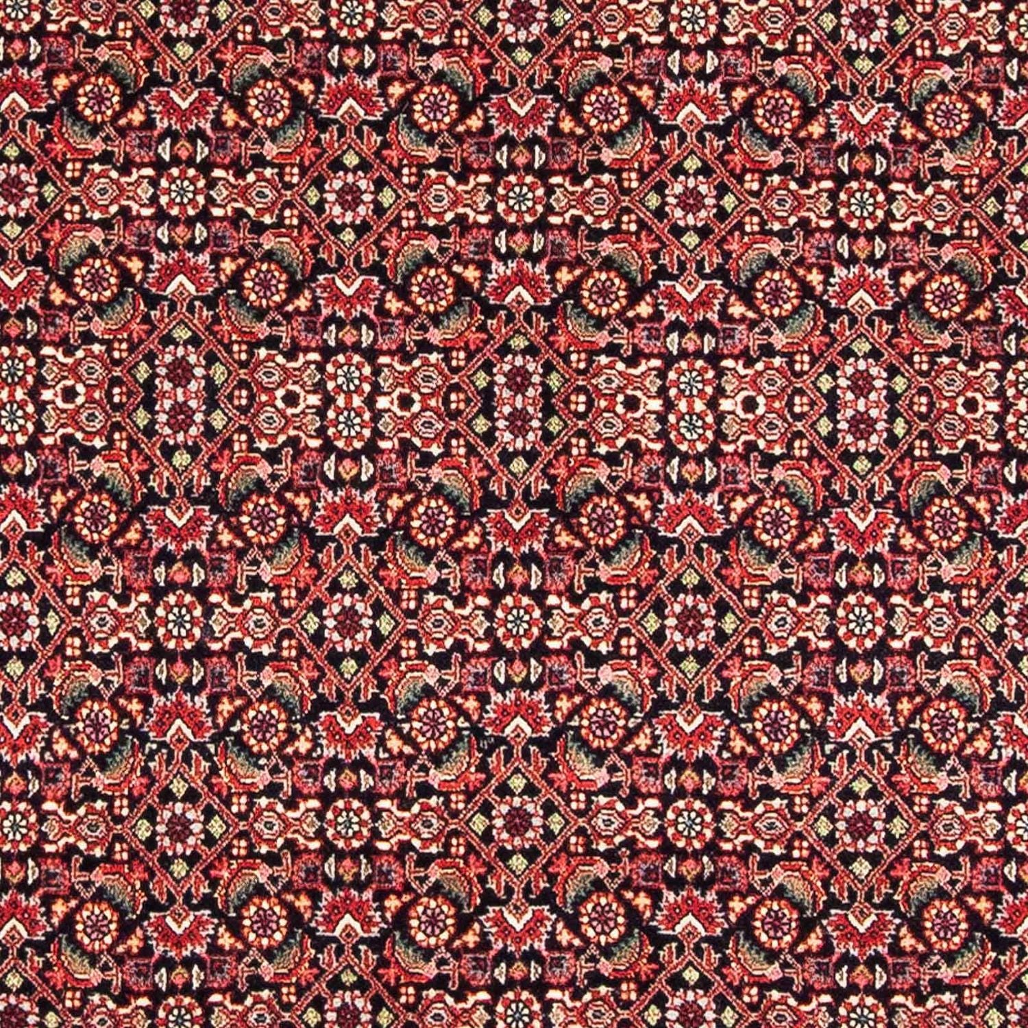 Perserteppich - Bidjar - Royal 170 x 108 cm Teppichbrücke