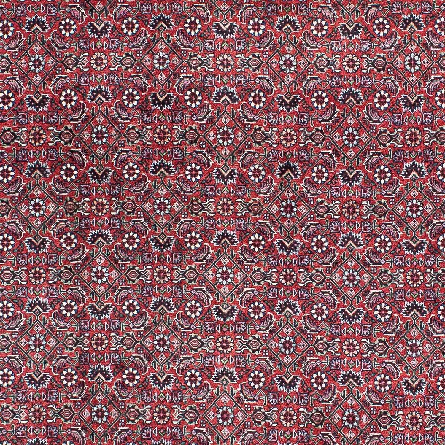 Perserteppich - Bidjar - Royal 216 x 128 cm