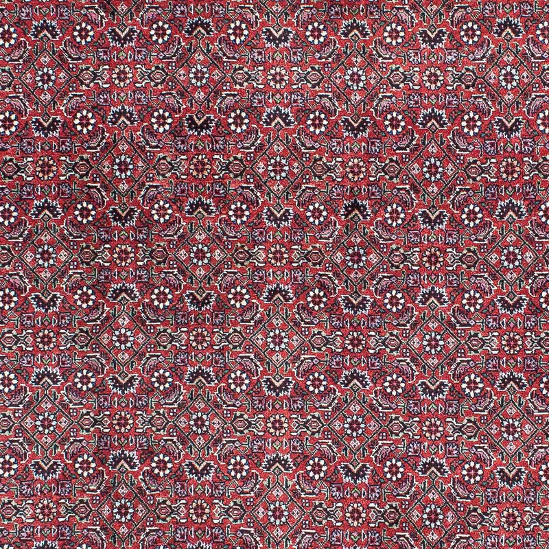 Perserteppich - Bidjar - Royal 216 x 128 cm