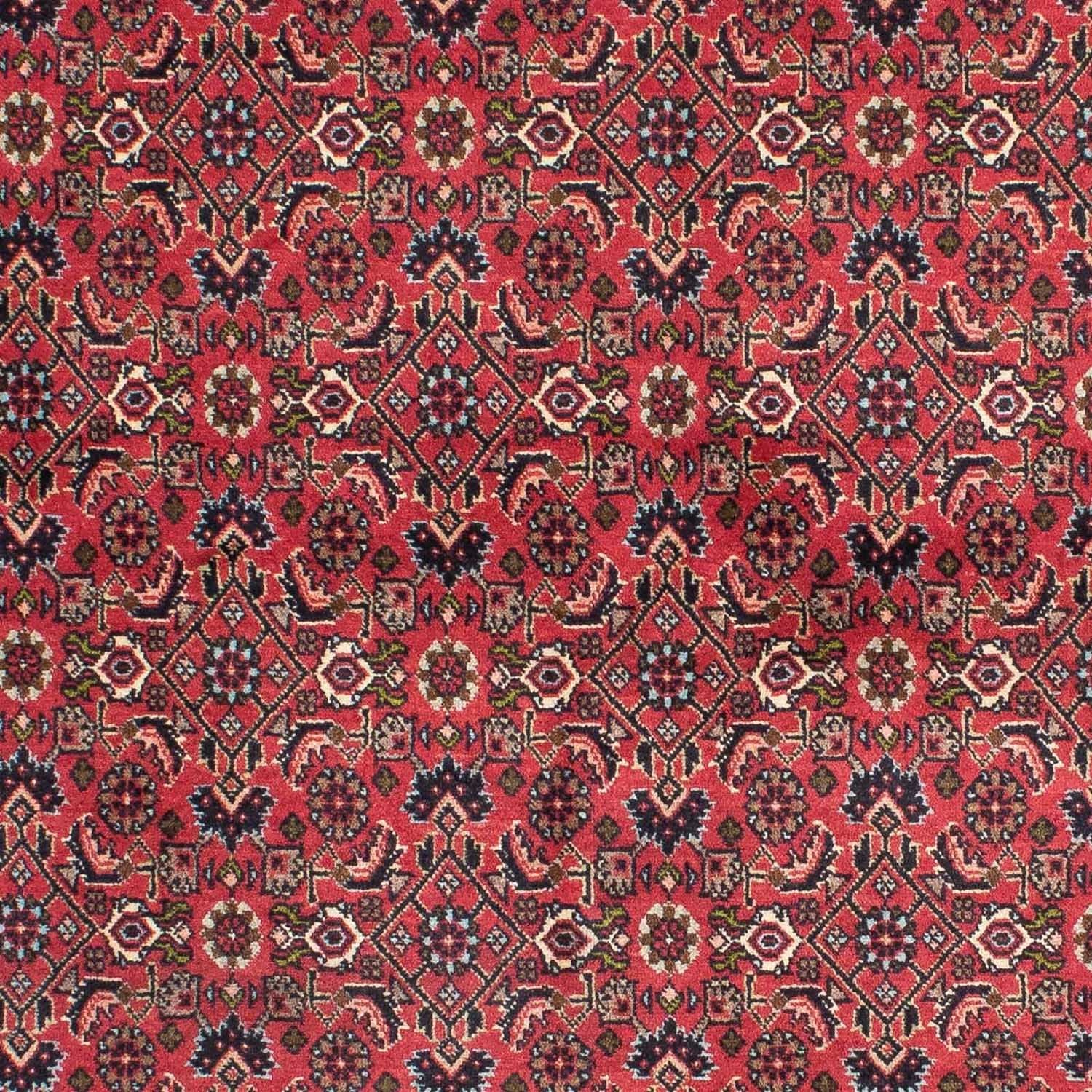 Perserteppich - Bidjar 206 x 140 cm