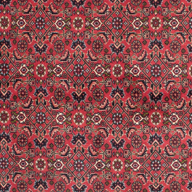 Perserteppich - Bidjar 206 x 140 cm