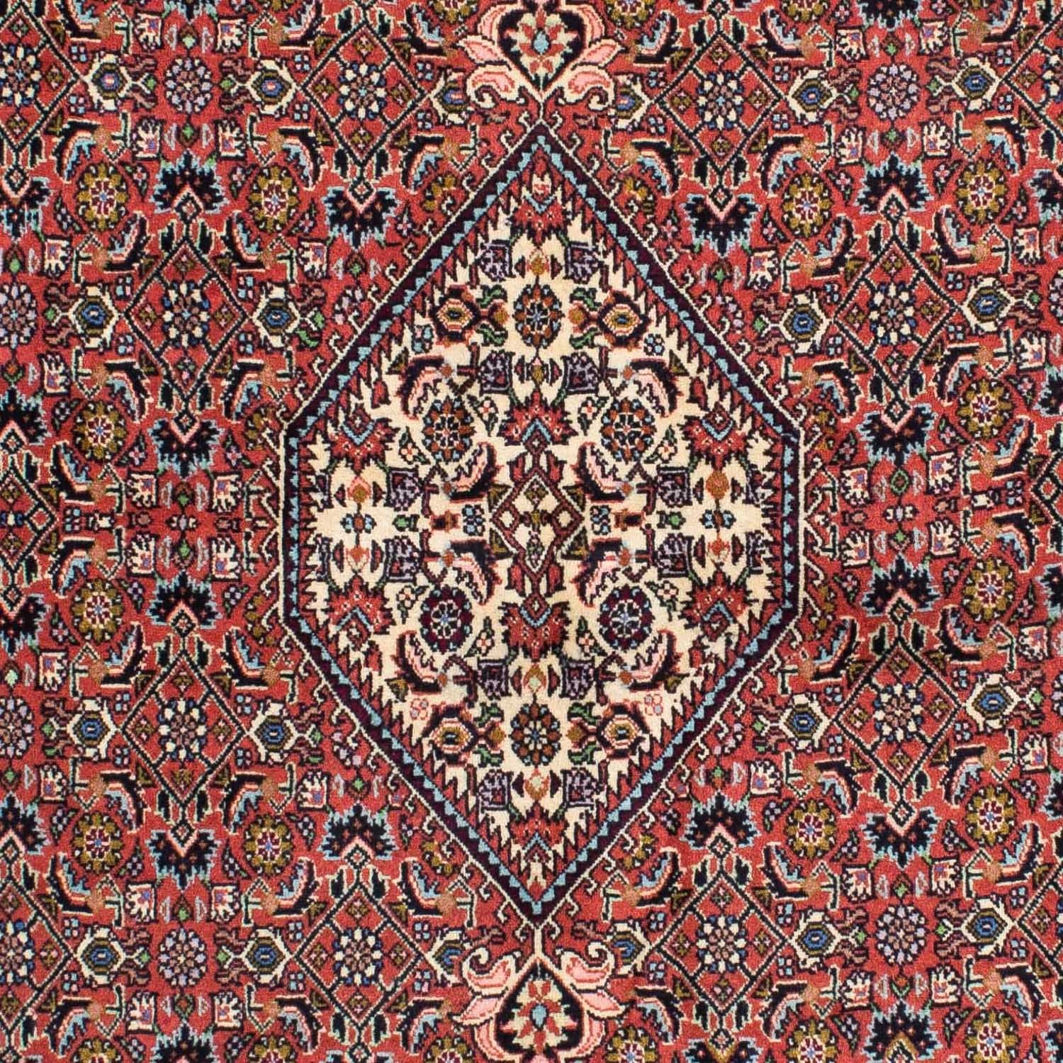 Perserteppich - Bidjar 231 x 141 cm