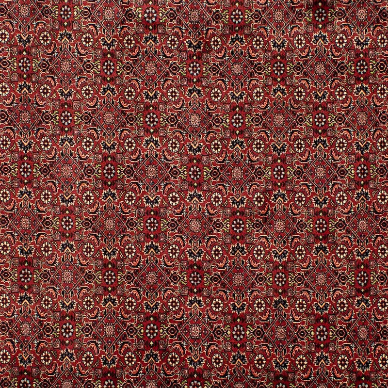 Perserteppich - Bidjar 302 x 203 cm
