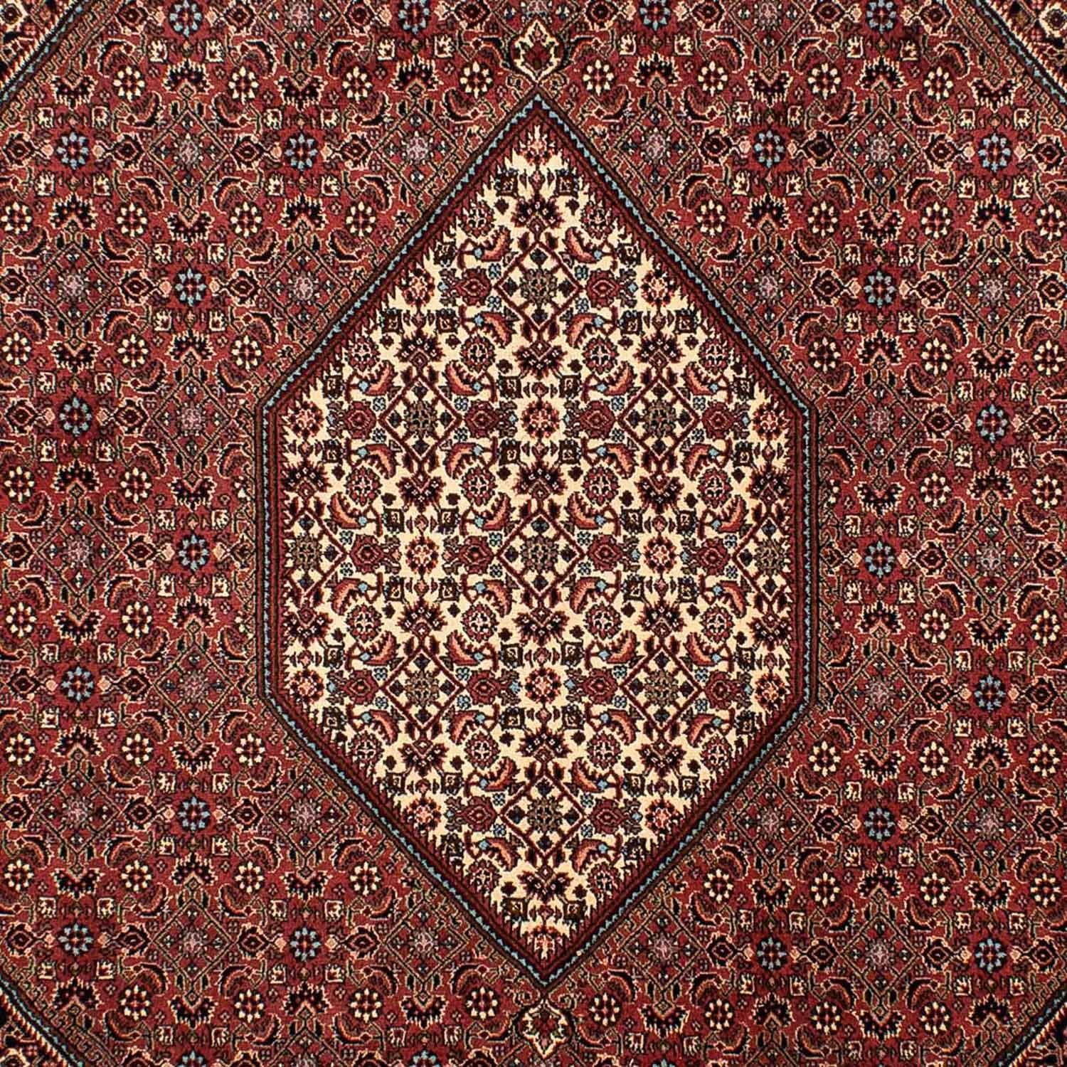 Perserteppich - Bidjar 298 x 206 cm