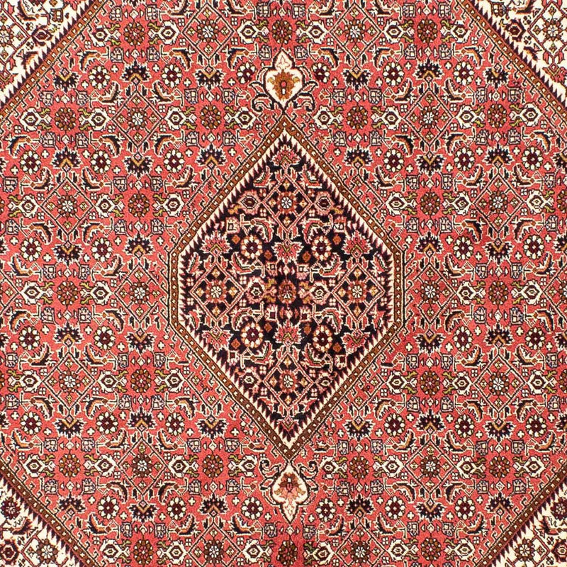 Perserteppich - Bidjar 237 x 176 cm