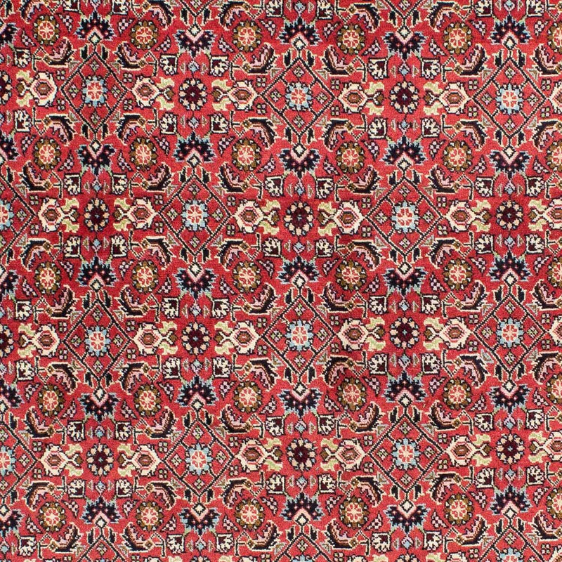 Perserteppich - Bidjar 233 x 138 cm