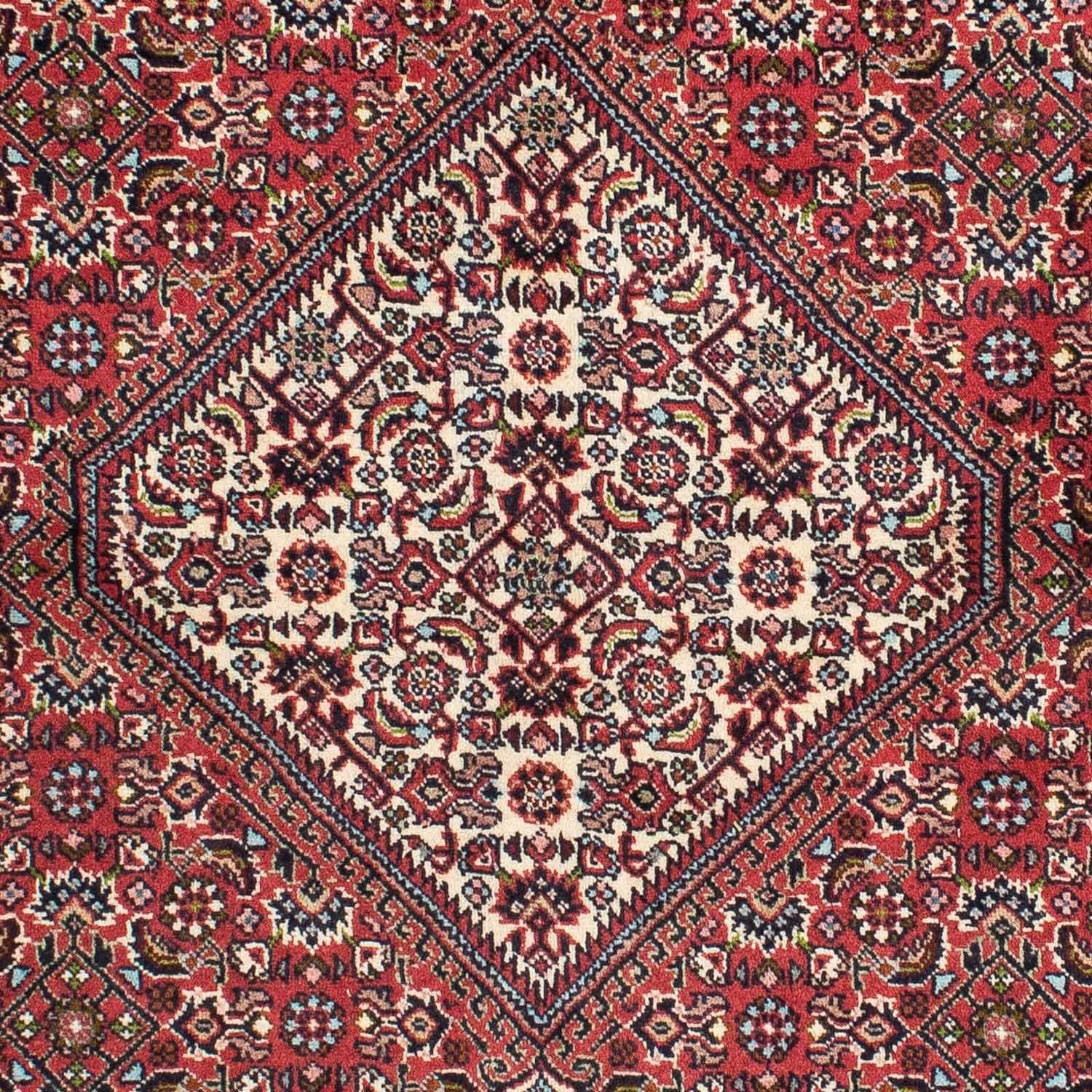 Perserteppich - Bidjar 224 x 140 cm