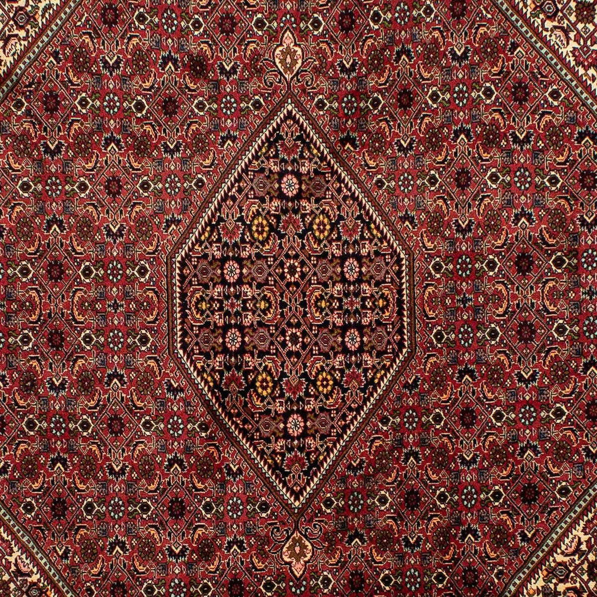 Perserteppich - Bidjar 305 x 200 cm