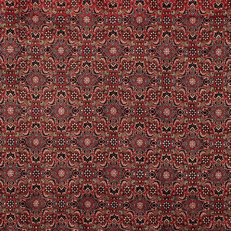 Perserteppich - Bidjar 298 x 198 cm