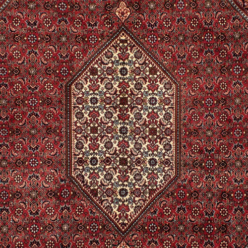 Perserteppich - Bidjar 282 x 204 cm