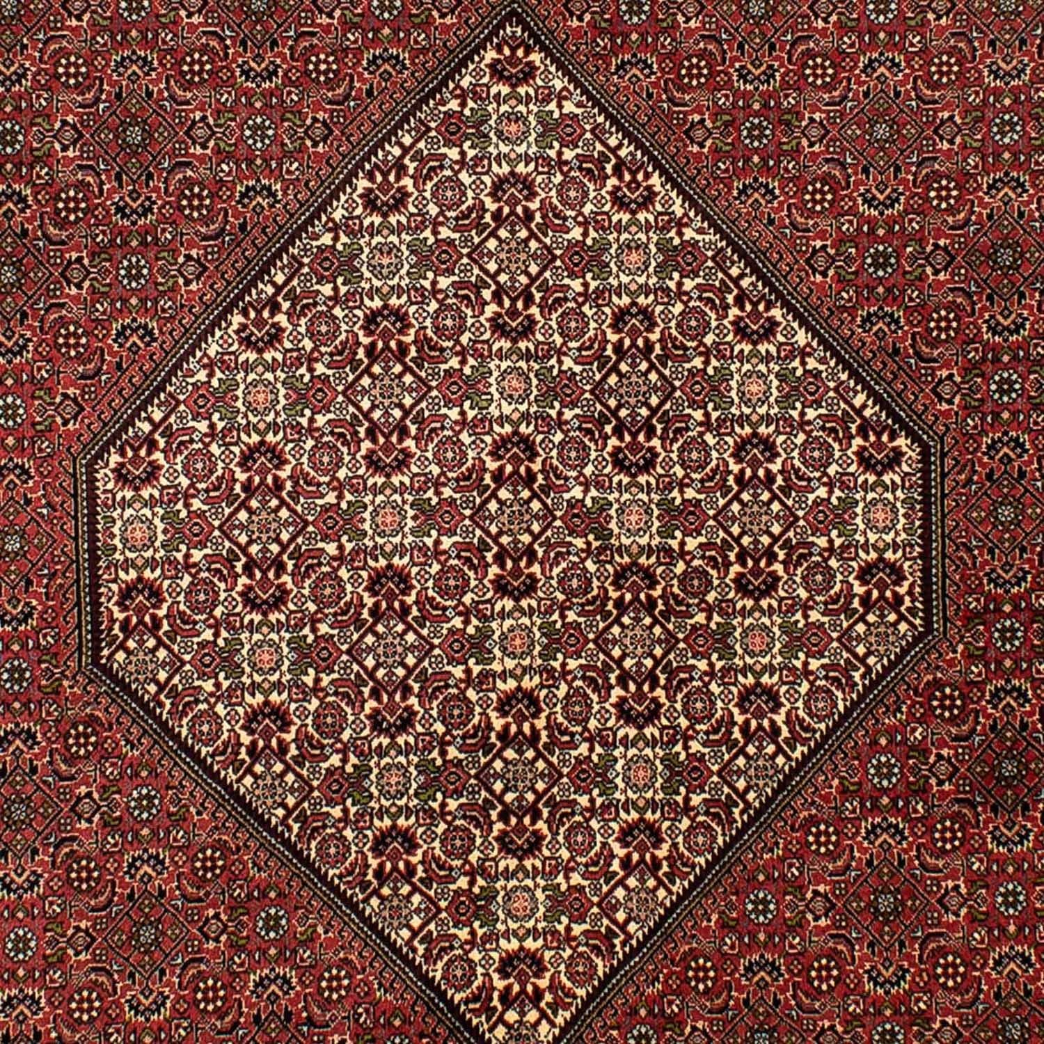 Perserteppich - Bidjar 265 x 171 cm