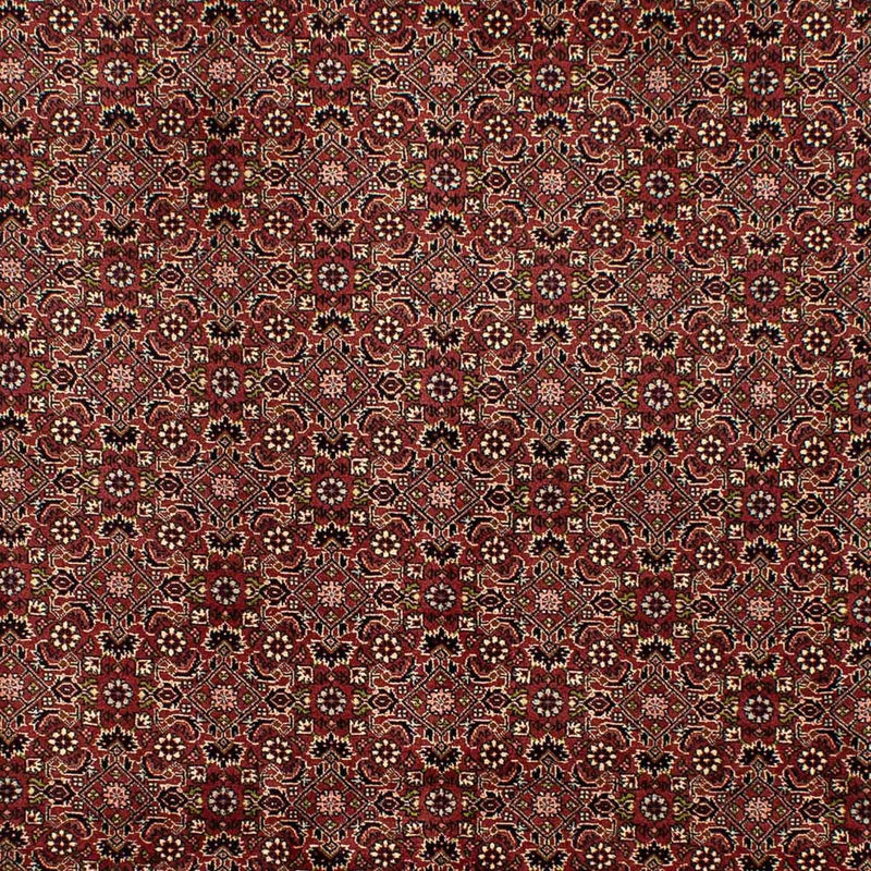 Perserteppich - Bidjar 292 x 198 cm