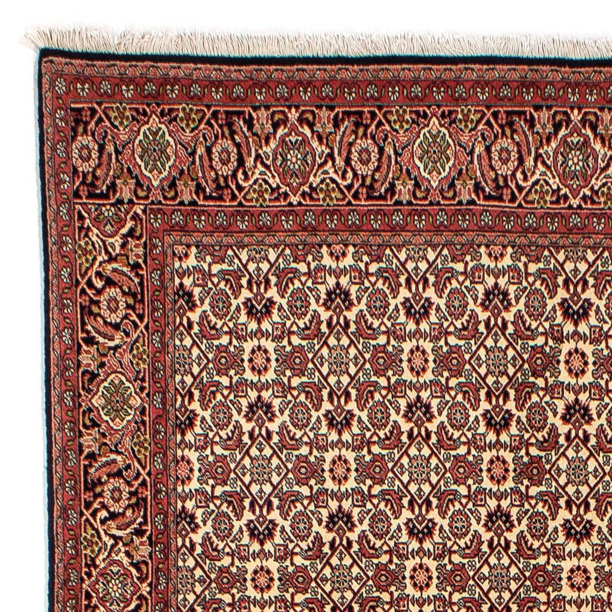 Perserteppich - Bidjar 254 x 171 cm - braun