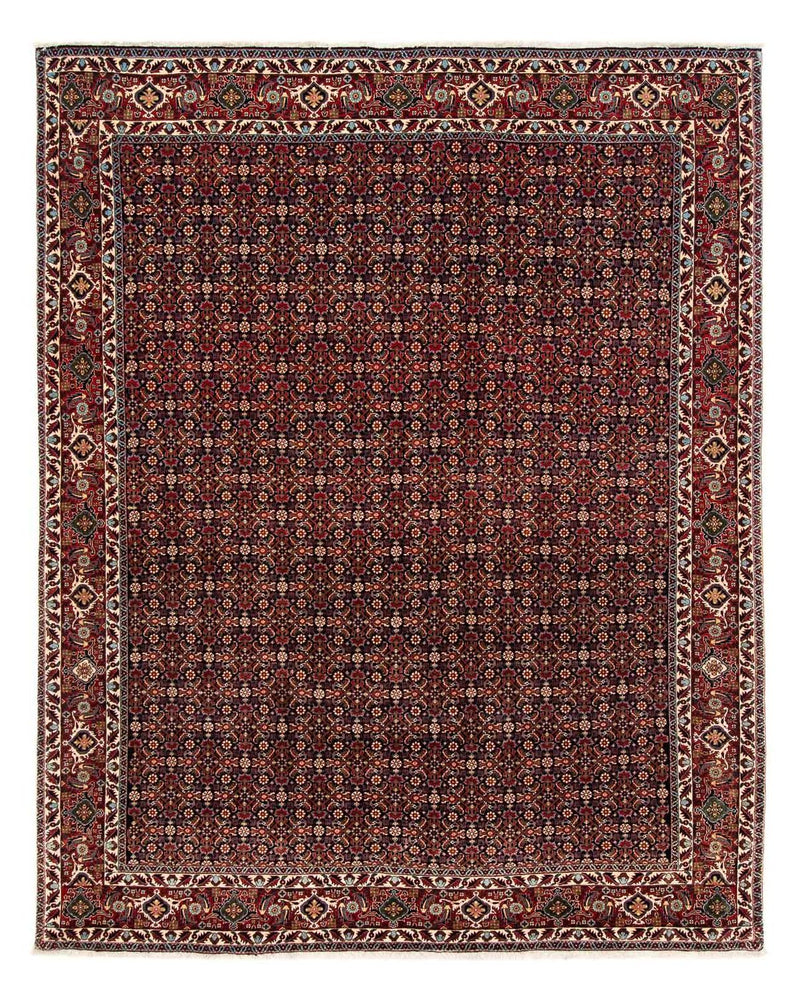 Perserteppich - Bidjar 248 x 205 cm