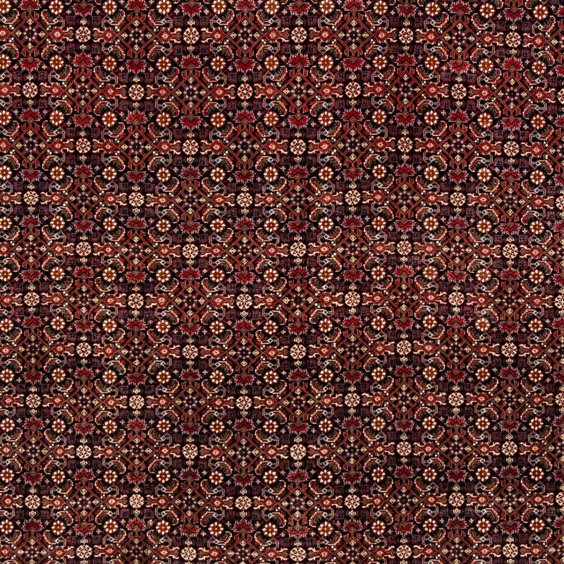 Perserteppich - Bidjar 248 x 205 cm