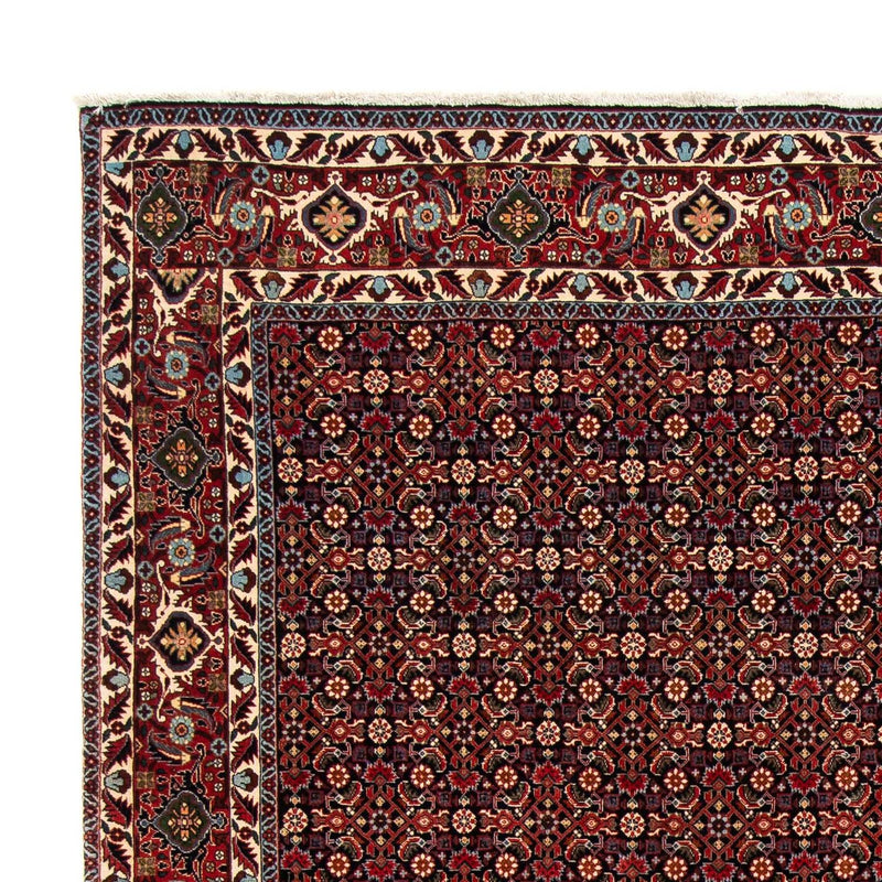 Perserteppich - Bidjar 248 x 205 cm