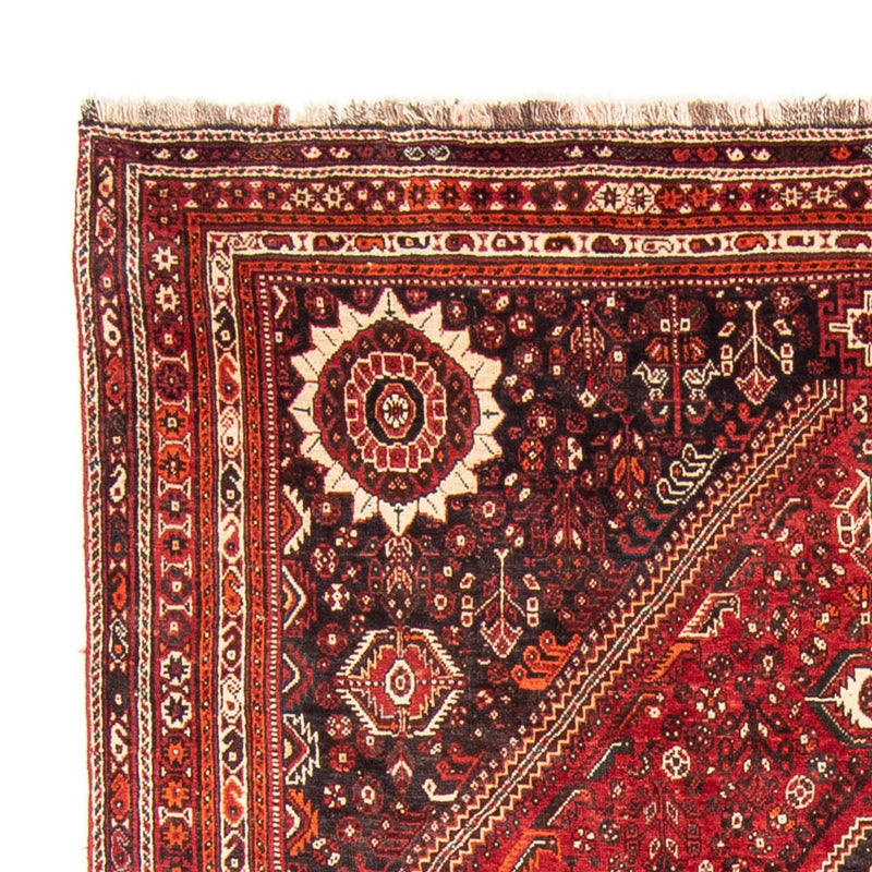 Perserteppich - Nomadic 328 x 215 cm