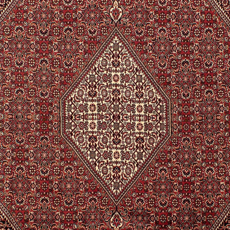 Perserteppich - Bidjar 304 x 200 cm