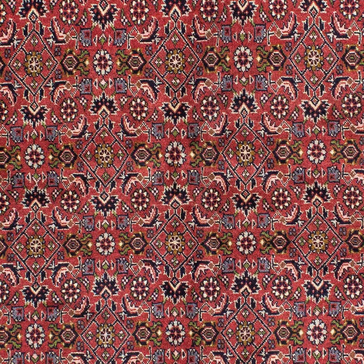 Perserteppich - Bidjar 207 x 142 cm