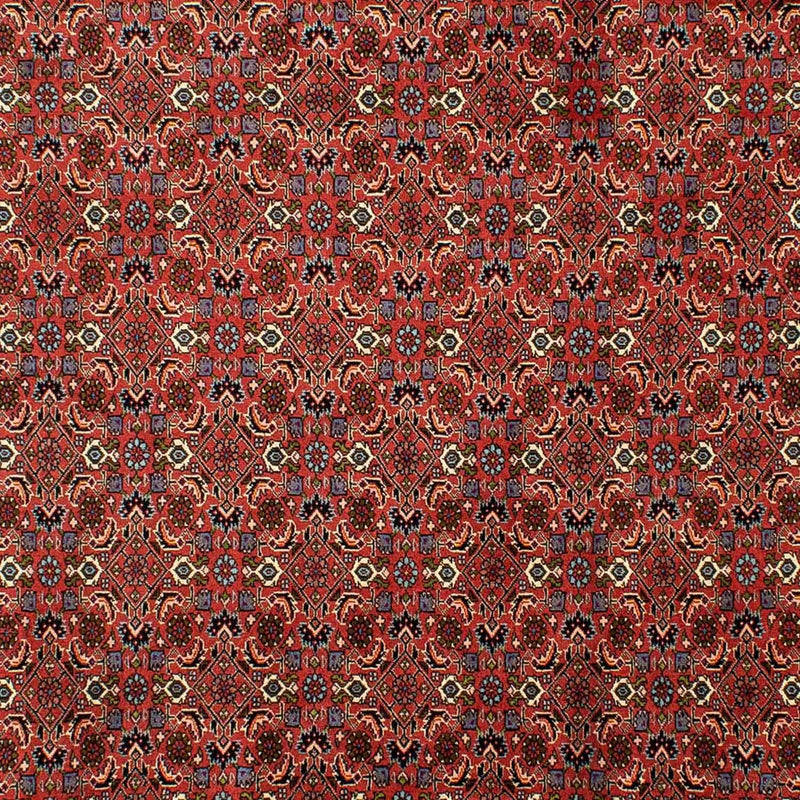 Perserteppich - Bidjar 290 x 200 cm