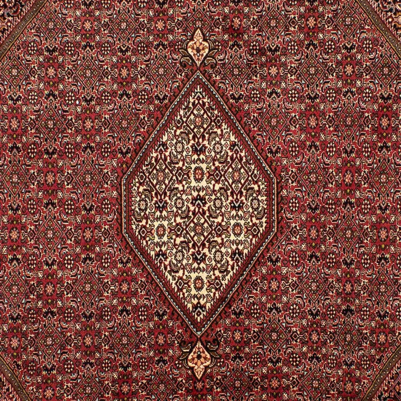Perserteppich - Bidjar 305 x 202 cm
