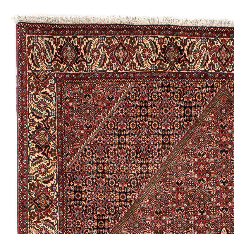 Perserteppich - Bidjar 305 x 202 cm