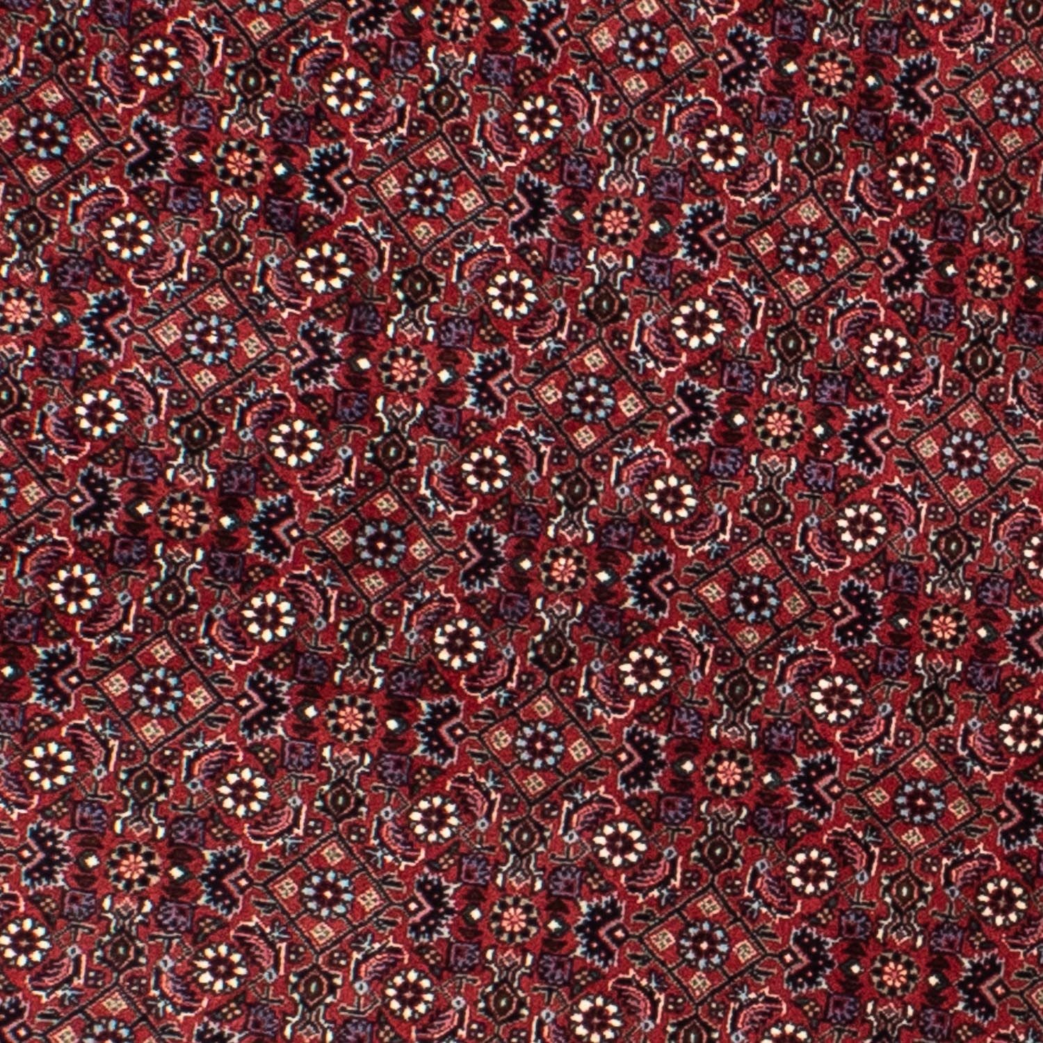 Perserteppich - Bidjar 160 x 160 cm