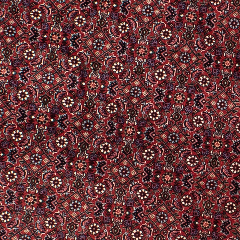 Perserteppich - Bidjar 160 x 160 cm
