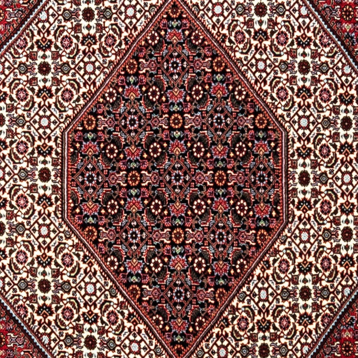 Perserteppich - Bidjar - Royal 338 x 249 cm - rot